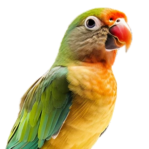 Teste Categoria 3